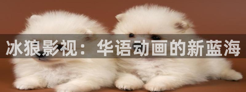 天空的遇难船在线观看：冰狼影视：华语动画的新蓝海