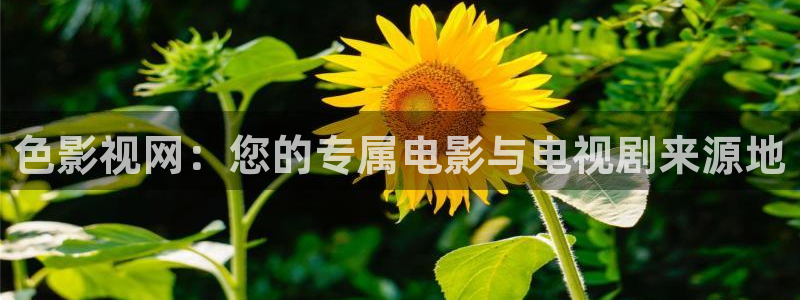 十八岁的天空在线播放