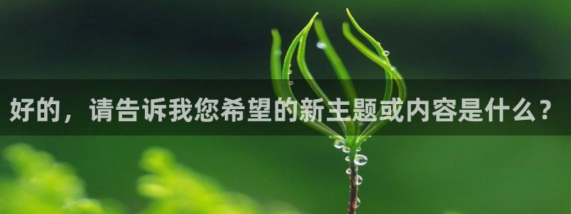 天空传媒视频
