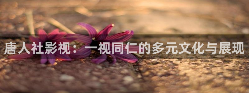 缘分的天空在线观看全集动漫：唐人社影视：一视同仁的多元文化与展现