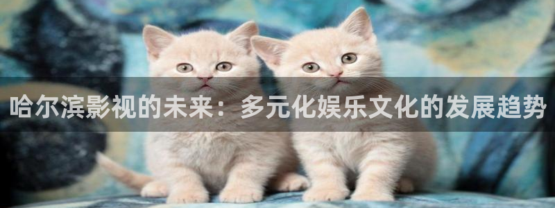 守望的天空免费视频：哈尔滨影视的未来：多元化娱乐文化的发展趋势