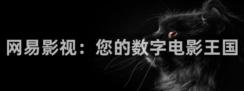 西藏的天空电影