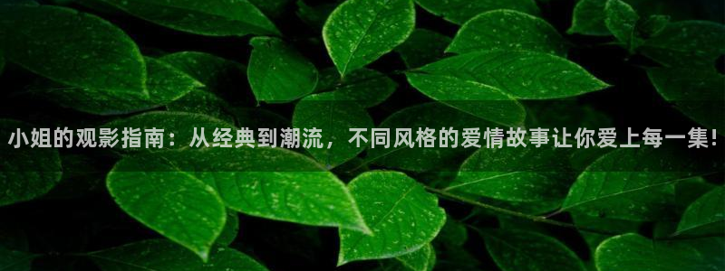 天空的遇难船中文版完整版：小姐的观影指南：从经典到潮流，不同风格的爱情故事让你爱上每一集!