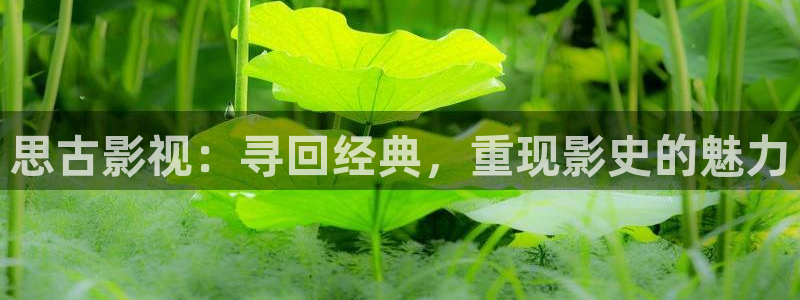 天空在线播放