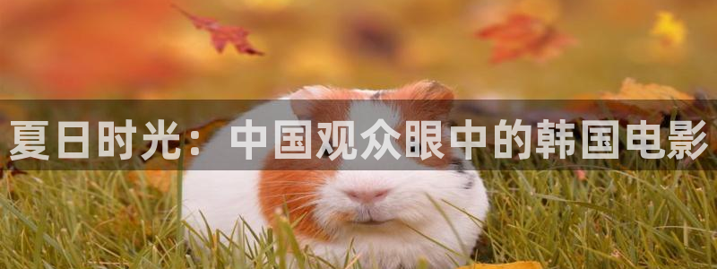 滚动的天空老版本大全：夏日时光：中国观众眼中的韩国电影